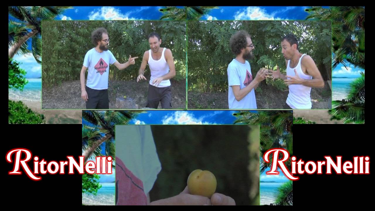 Trasmissione RitorNelli